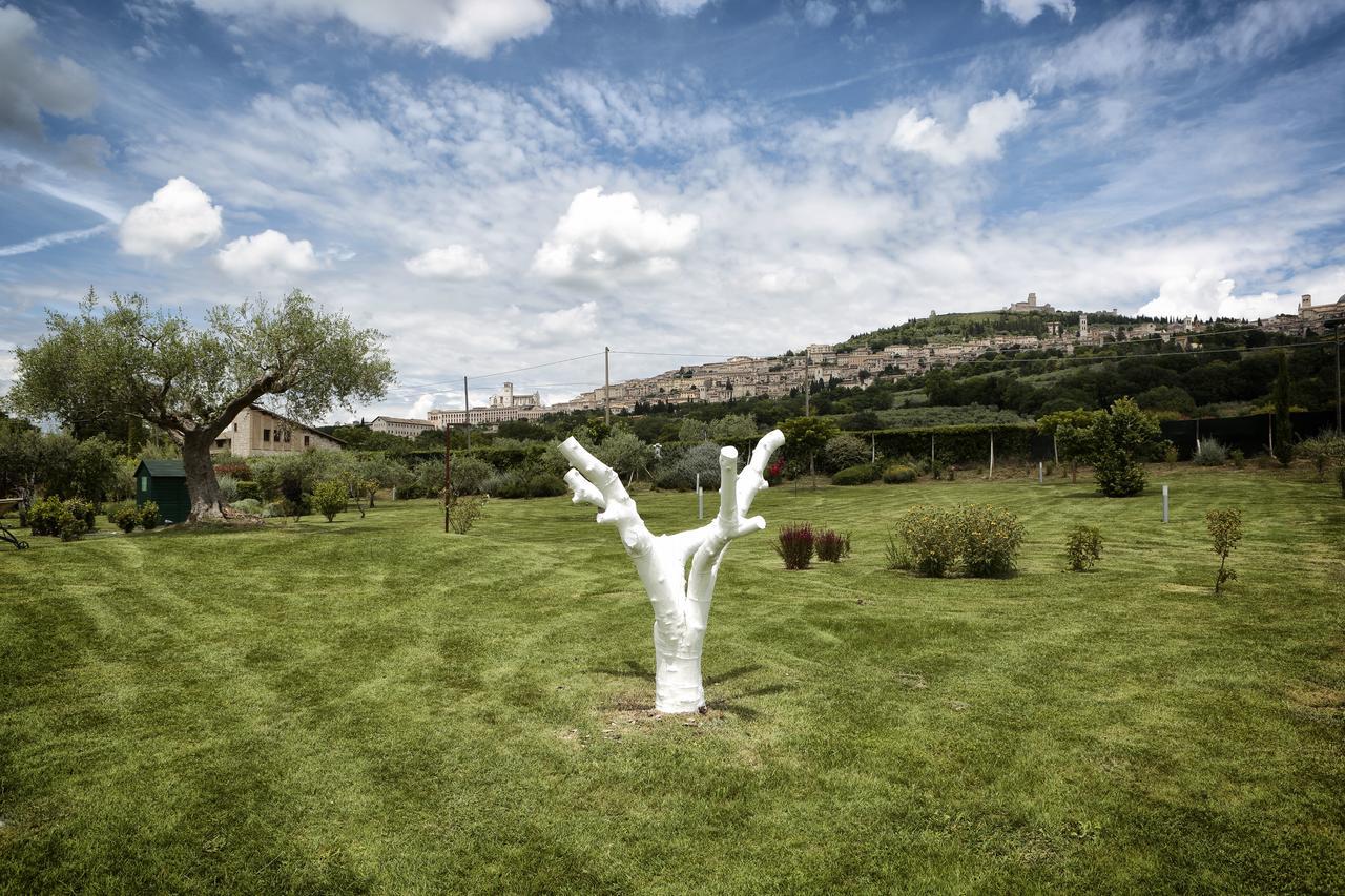 Tenuta San Masseo - Boutique Farm Resort & Spa Assisi Exteriör bild